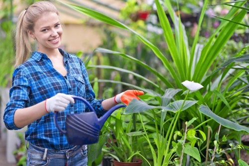 Operative performing hedge trimming work