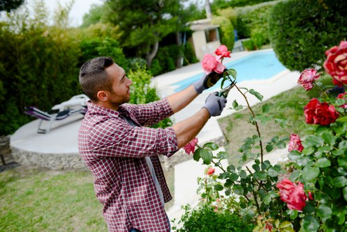Seasonal lawn maintenance in Muswell Hill