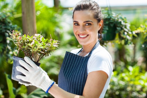 Our structured garden clearance process