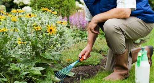 Tools used for hedge trimming in Muswell Hill