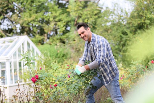 Healthy, neatly trimmed lawn enhancing curb appeal