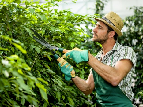 Benefits of garden clearance services