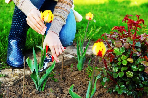 Local climate influence on garden planting