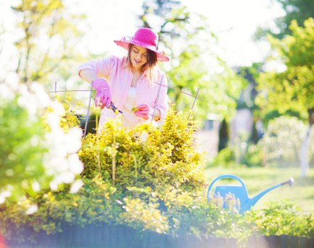 Eco-friendly lawn mowing practices in Muswell Hill