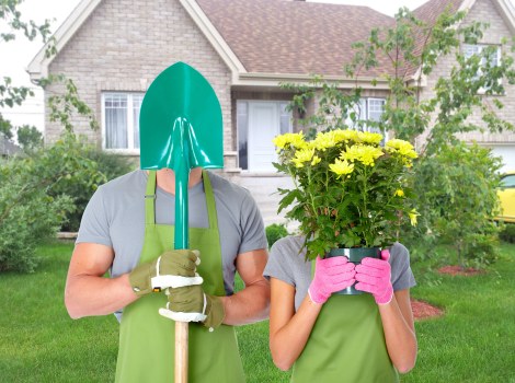 Customized hedge trimming solutions for local gardens